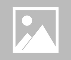 上海海港内部会议纪要流出——今晚单刀错失，意甲使命明确，球队文化再被提及的简单介绍-安博app下载