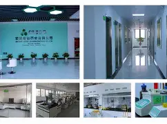 xpdd是什么意思